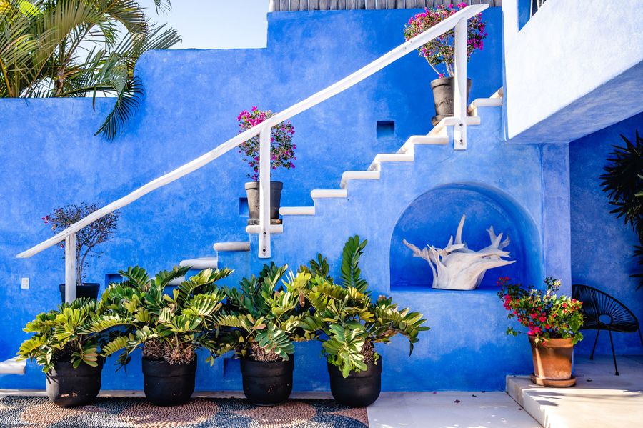 Casa Azul photo 22